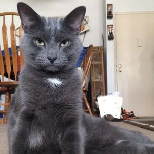 Meet your Posher, Rick